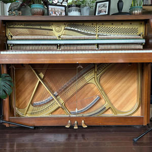 What I Came For (feat. Steevie Steeves) (Explicit)