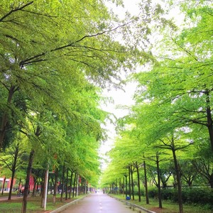 绿美先锋 (合唱版)