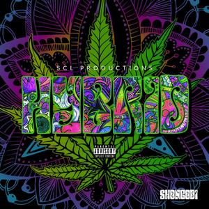 Running(feat. Trillionaire Daz) (Explicit)