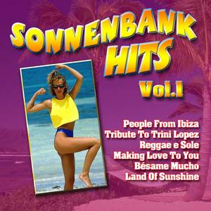 Sonnenbank Hits - Vol. 1