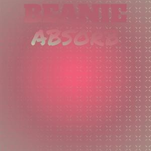 Beanie Absorb