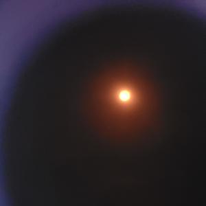 iLEFTmyHeartINdalaran