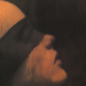 screen1 トリカゴ