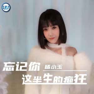 忘记你这半生的痴狂