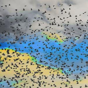 colour gravity (Explicit)