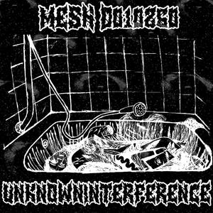 MESH_D010260 (SLXNDXR PROD.) (Explicit)