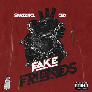 Fake Friends (Explicit)