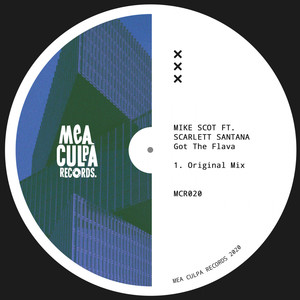 Got The Flava (Original Mix)