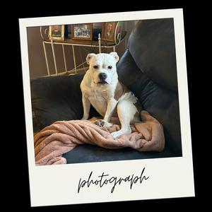 photograph (Explicit)