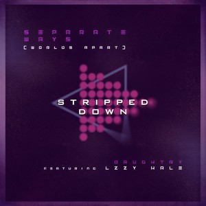 Separate Ways (Worlds Apart) (Stripped Down)