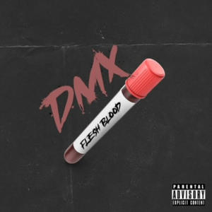 DMX Presents x ISM by Space Indigo (feat. $kinnyJame$ & MC INDIGO) [DMX FLESH BLOOD MIX] [Explicit]