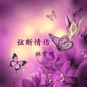 真英雄-林紫蝶