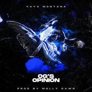 OG's Opinion (NPT Allstar weekend freestyle diss) (Explicit)