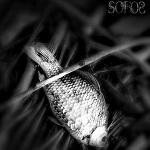 SofoS-Fish (EP2024)