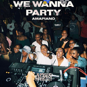 We Wanna Party Amapiano