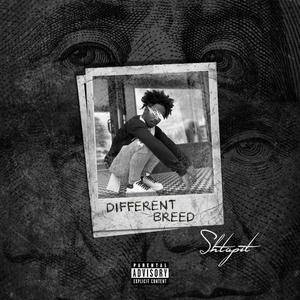 DIFFERENT BREED (Explicit)