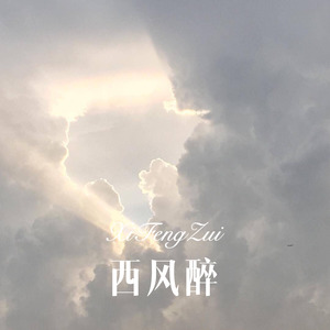 糖半甜 (Remix)封面