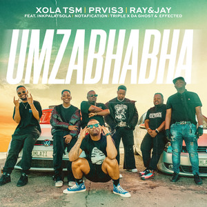 Mzabhabha (feat. InkPalatsola, Notafication, Triple X Da Ghost & Effected)