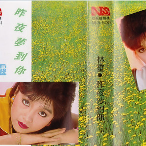 昨夜梦见你