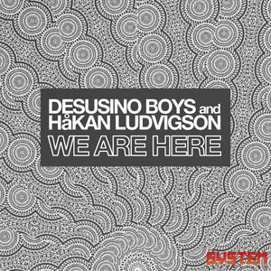 We Are Here (Crazy Fluke Remix)