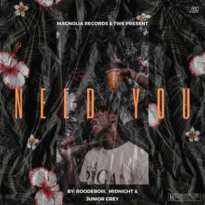 Need You (Explicit)