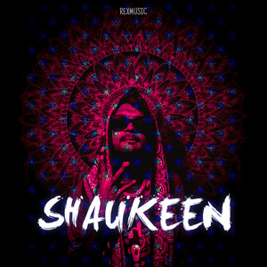 Shaukeen