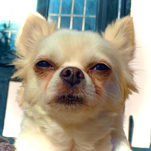 Overdose(feat. T-Brain)