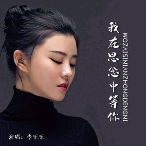 我在思念中等你 - 洛瑶封面