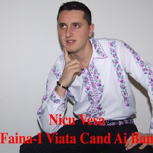 Faina-I Viata Cand Ai Ban