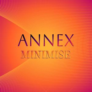 Annex Minimise