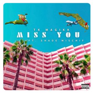 Miss You (feat. Shade Mischif) [Explicit]