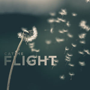 Flight