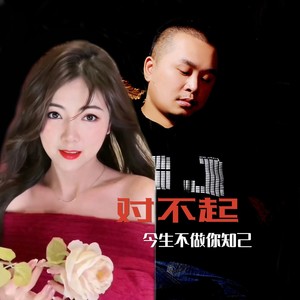 对不起今生不做你知己 (DJ版)
