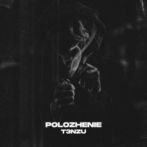 T3nzu - Polozhenie