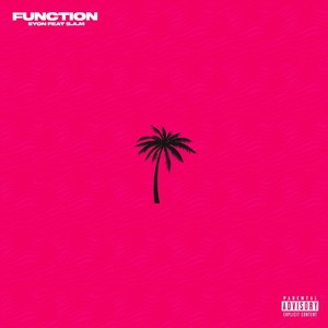 Function (Explicit)