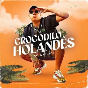 Crocodilo Holandês