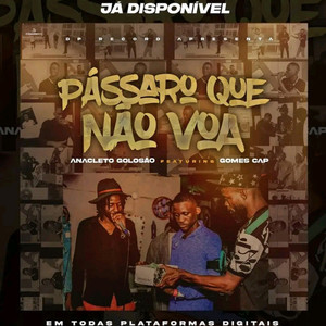 PÁSSARO QUE NÃO VOA