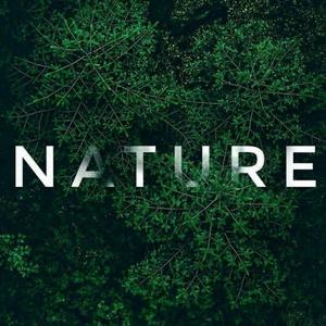 Nature Sound