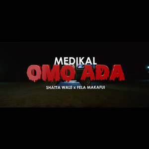 Omo Ada(feat. Shatta Wale & Fela Makafui)