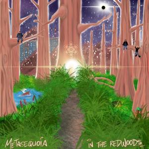 In The Redwoods (Explicit)