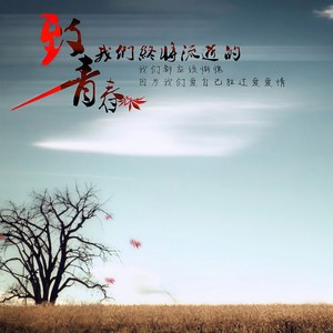 再见了我的青春