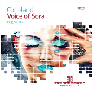 Voice of Sora (Original Mix)
