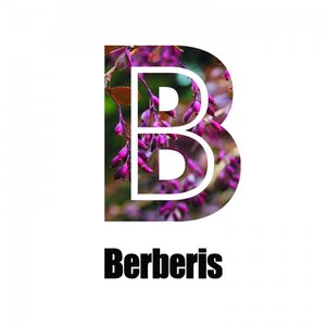 The Science Of A Waterpool (Original Mix)