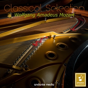 Piano Concerto No. 2 in B-Flat Major, K. 39 - II. Andante staccato