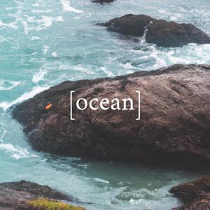 ocean (feat. runpaccs & Wassup Rocker) [Explicit]