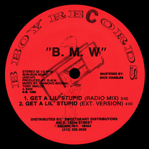 Get a Lil' Stupid (Explicit)