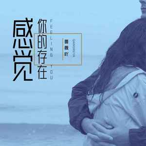 感觉你的存在 (女声版)封面