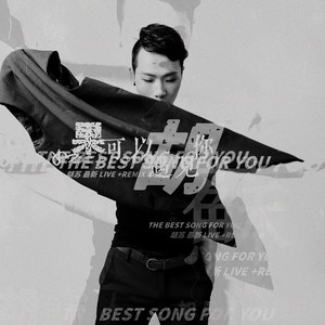 如果可以遇见你 (Remix)