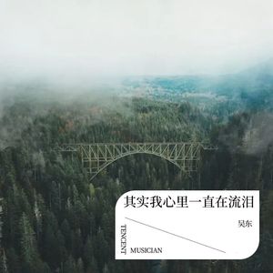 其实我心里一直在流泪