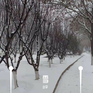 雪